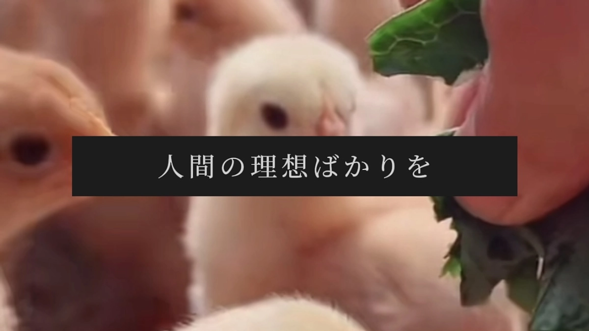 15日公開して本日で1週間