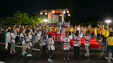 宿毛の夏に再び光を！みんなで創るやいとがわ花火大会復活プロジェクト のトップ画像