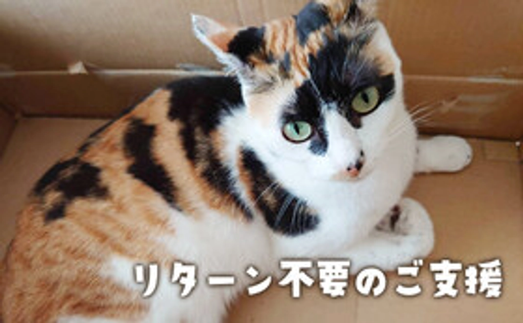 市の闘病ご支援【1,000円】リターン不要