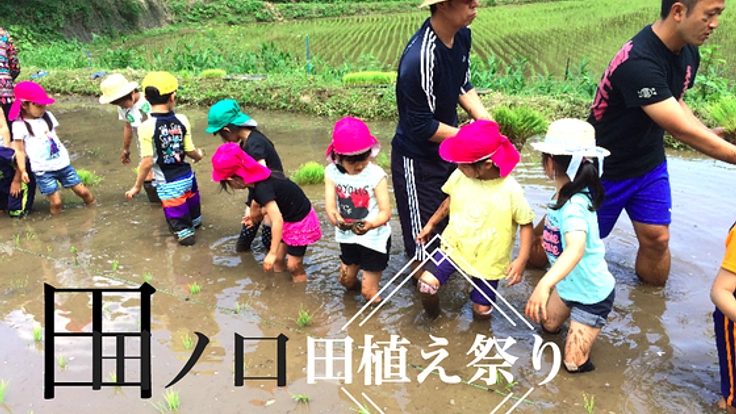 限界集落田ノ口で、田植え祭りを～荒廃する田畑の活性化を。