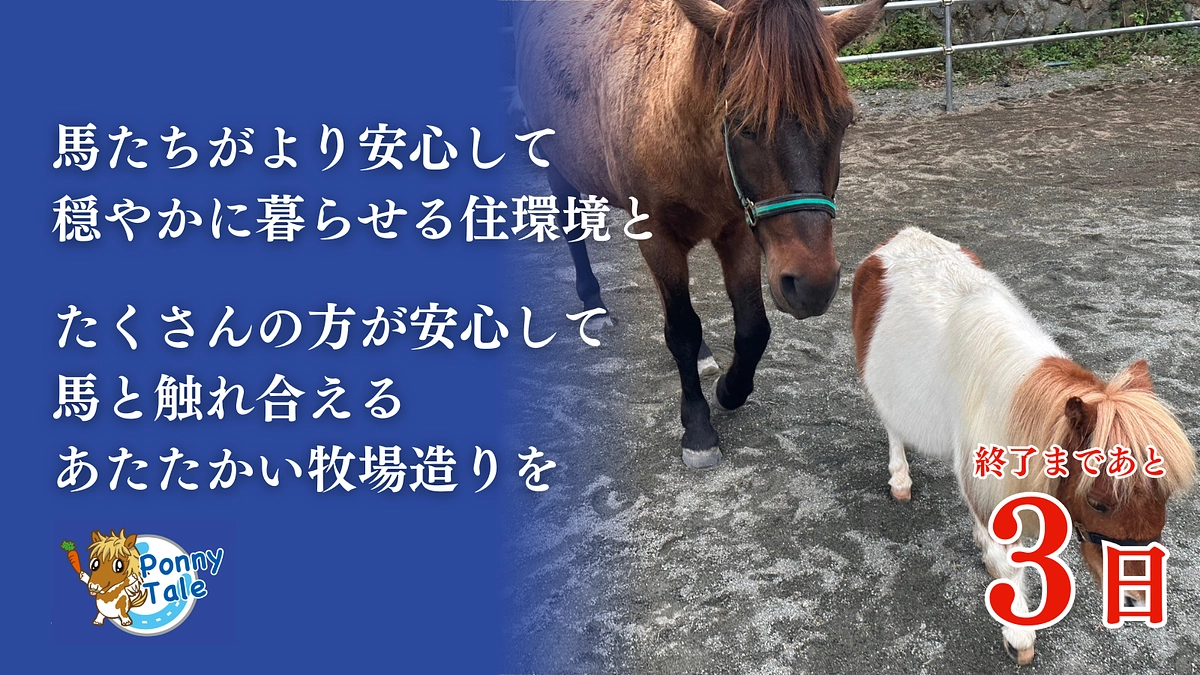 【残り3日】「#馬のための本気のクラウドファンディングにご協力を」拡散のご協力もお願いします！