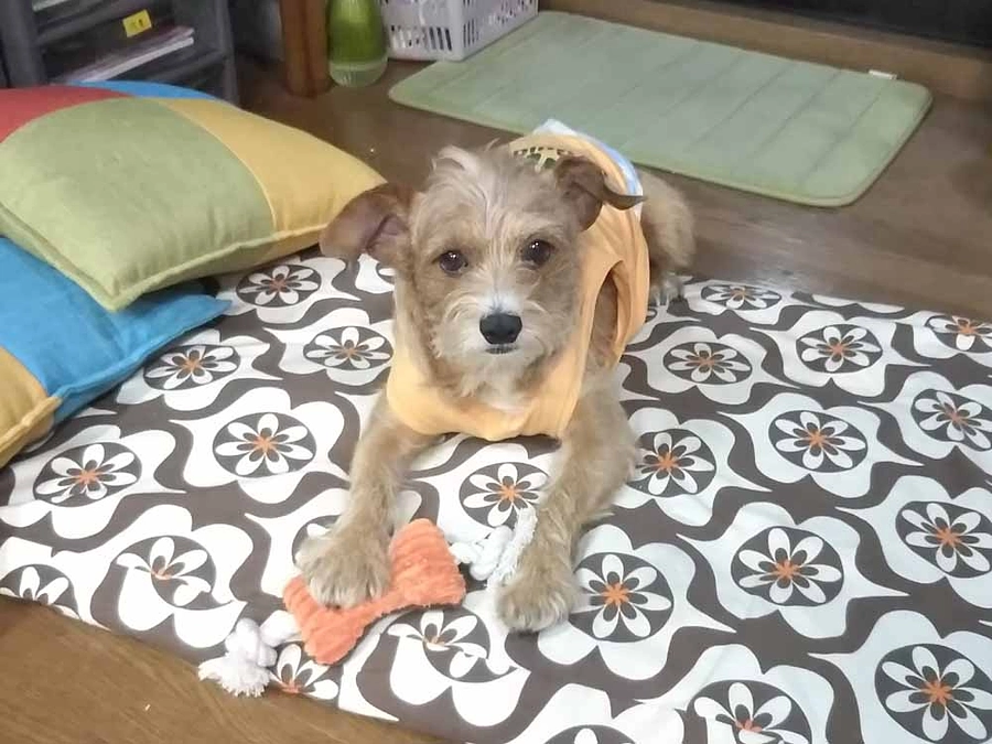 ご支援ありがとうございますゴールまで後1時間