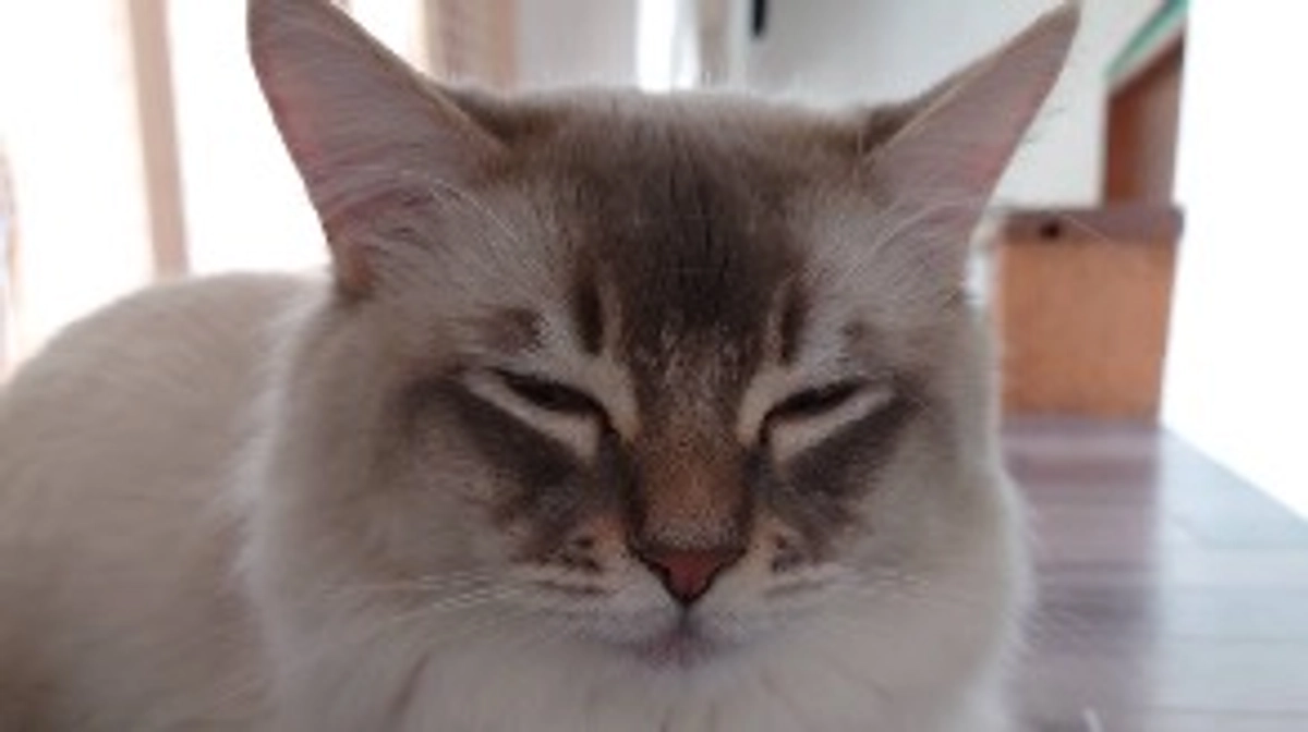 本日21時よりインスタライブ致します。