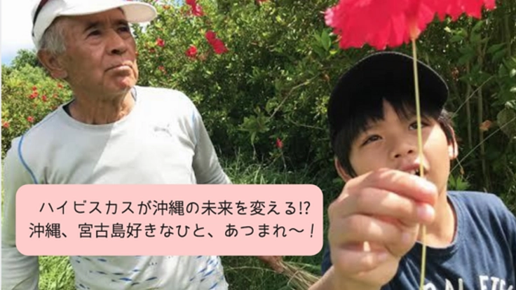宮古島を一緒に盛り上げよう！日本初のハイビスカス王国を設立！