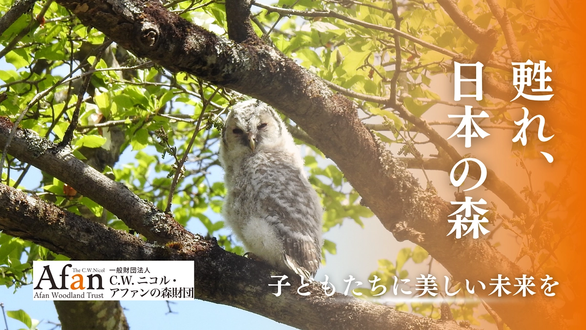 恩師・故C.W.ニコル氏の思いを未来へ