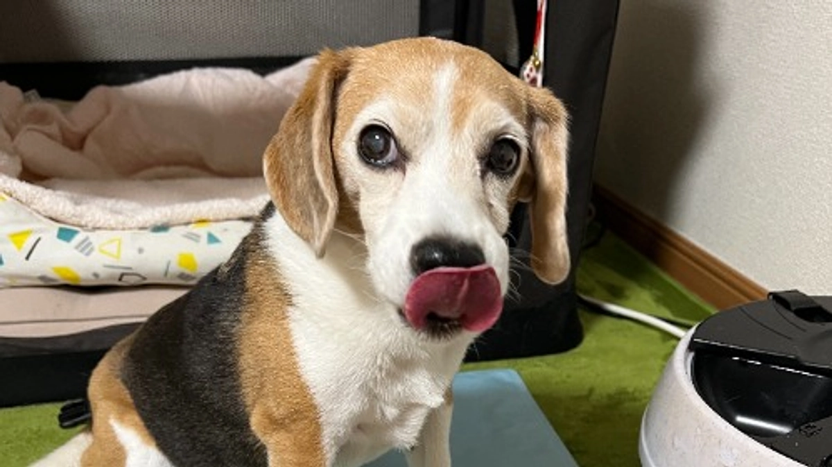 9/29 午前 寝ずの看病になりました。