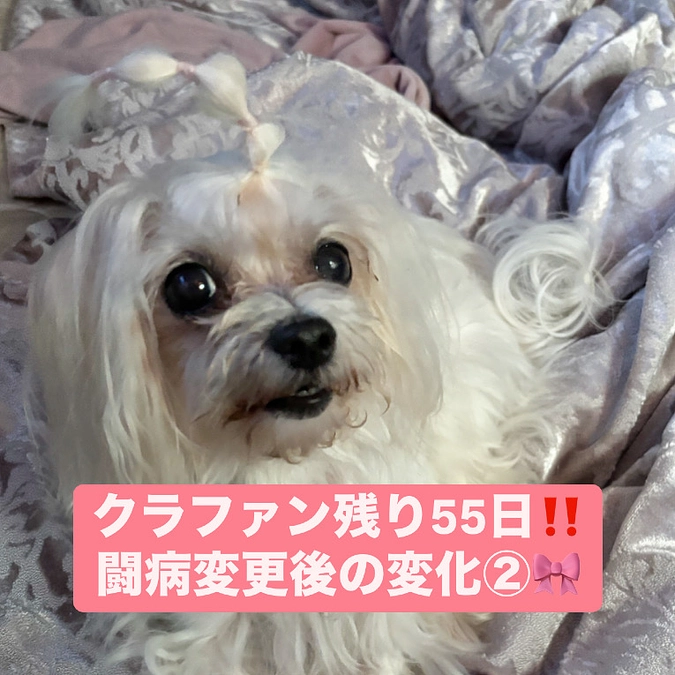 残り55日‼️本日のマリ🎀