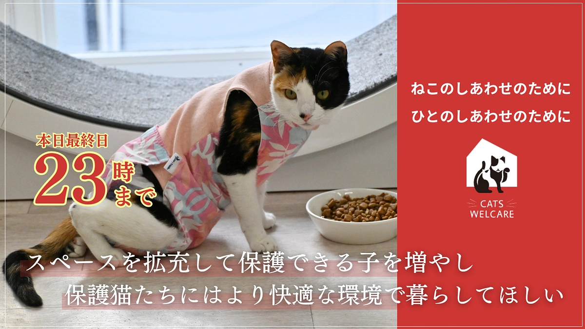 いよいよ最終日！最後まで応援お願いします！