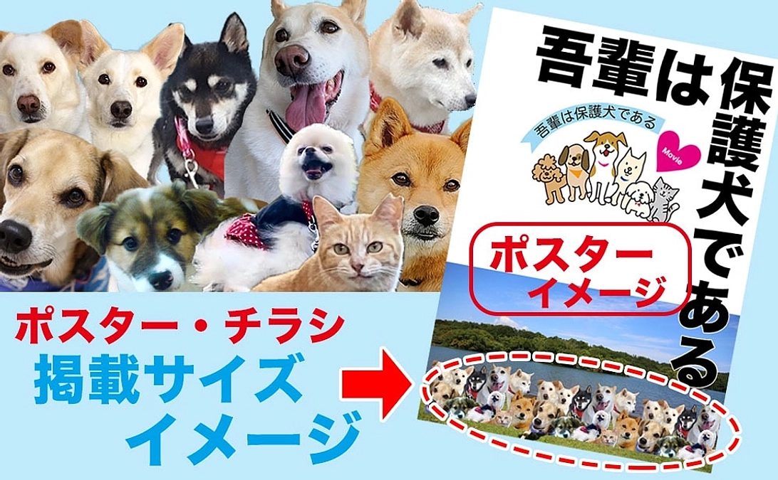 【リターン紹介①】愛犬が映画のポスターに！ポスター掲載コース｜3万8千円
