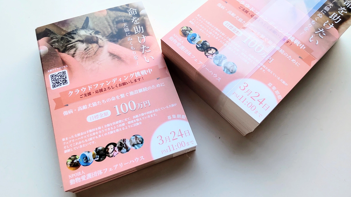 チラシを作成していただきました！