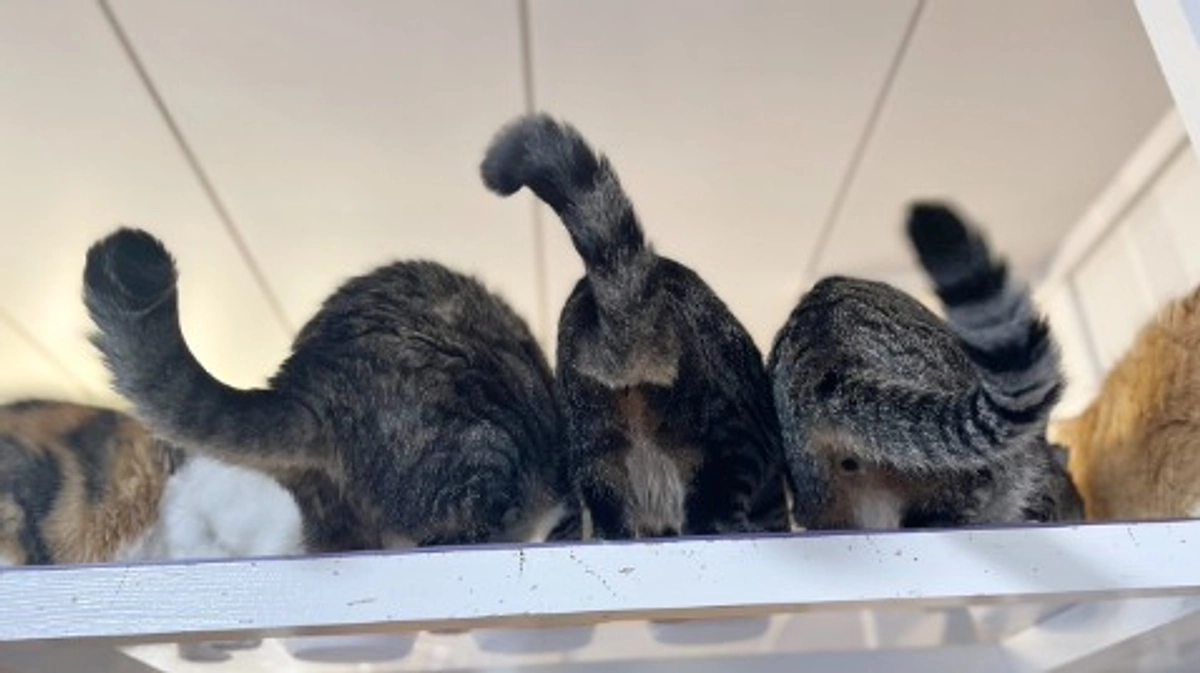 １５年目のスタート