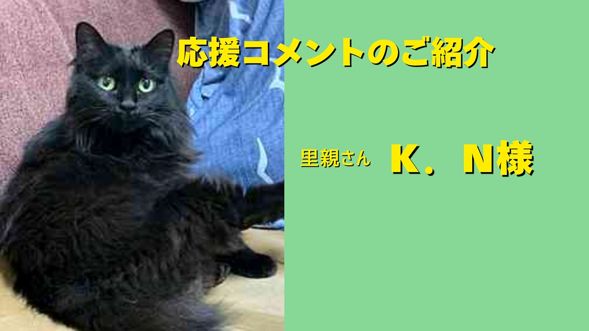 里親さんのＫ．Ｎ様から、応援メッセージを頂きました