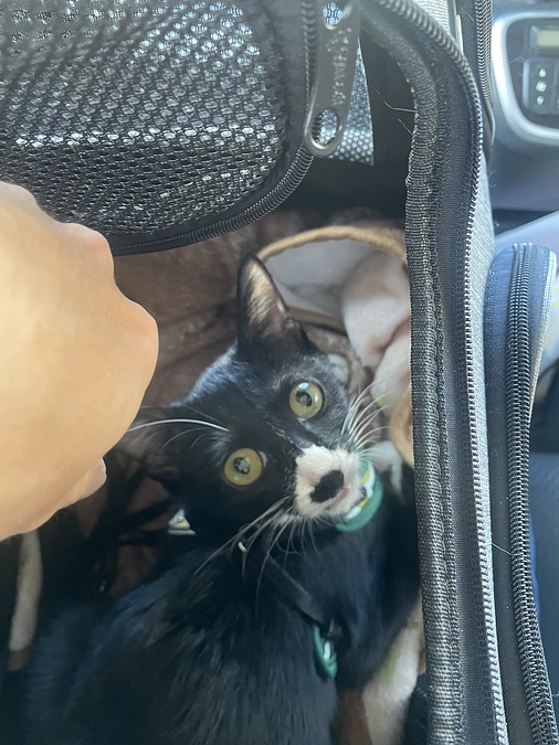 治療院が決まりました