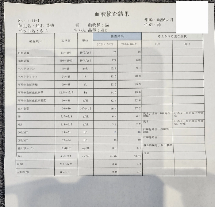 キジくん検査結果（10/22）