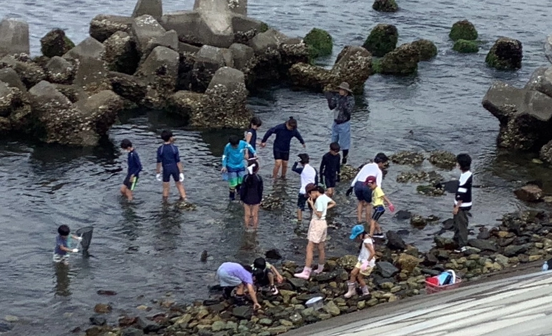「磯遊び」毎日、何かしらある！ことが好奇心を育てます。