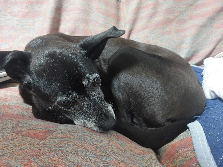 16％達成、7名のご支援大変ありがとうございます