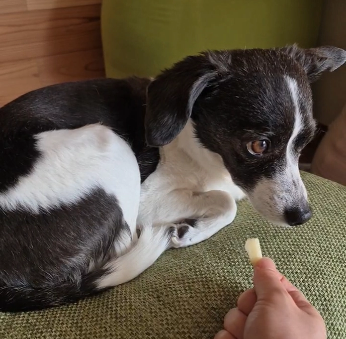 副作用辛そうです。