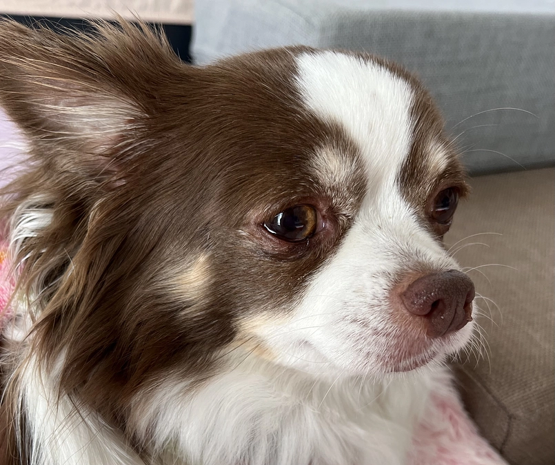 2023.12.05  無事に手術が終わりました。