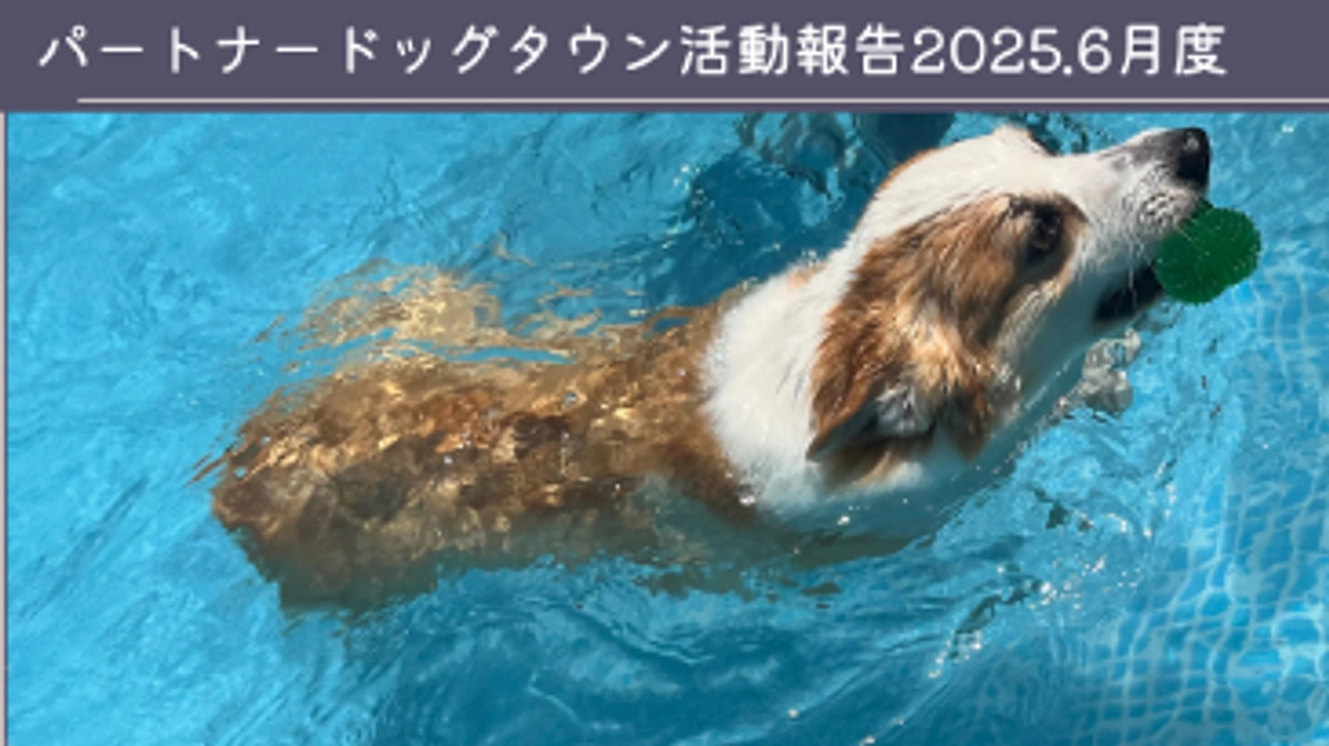 2025年6月活動報告