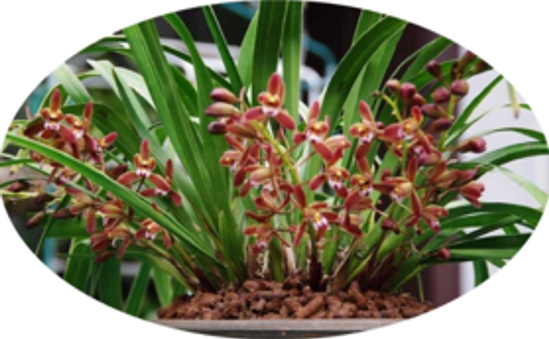 皆さんの気持ちを応援します！