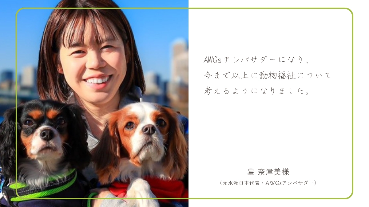 【あと3時間！】星 奈津美様（元水泳日本代表・AWGsアンバサダー）からの応援メッセージのご紹介！