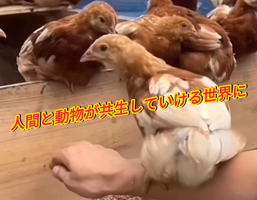 達成率70%‼️残り１３日‼️