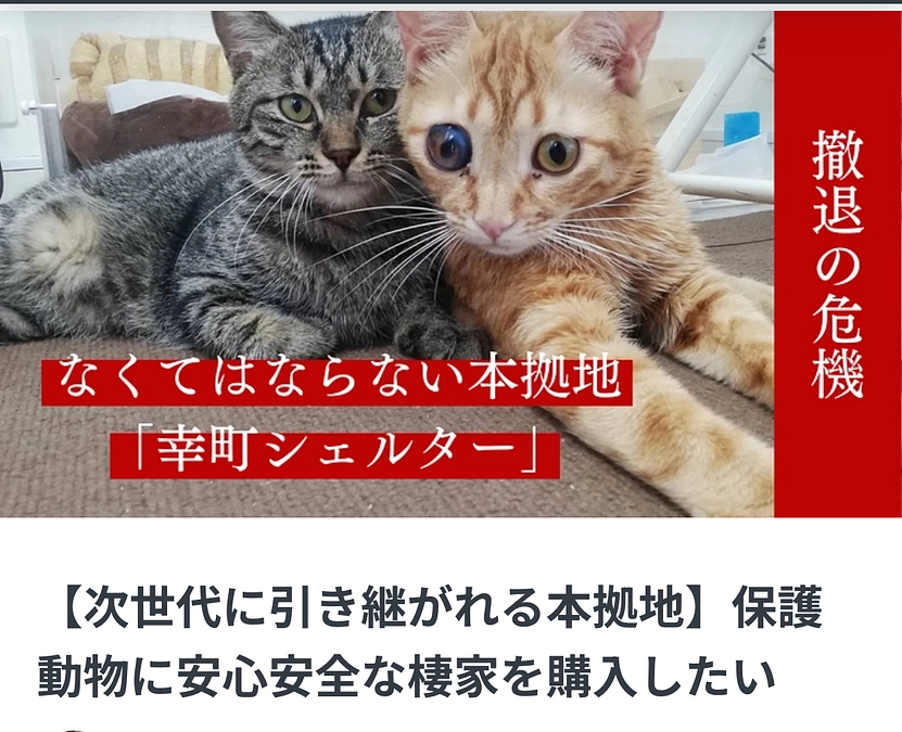 ホームページ掲載再開のお知らせ