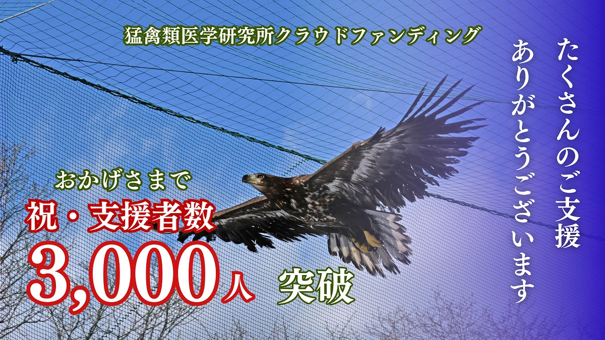 祝支援者3000人突破！ 皆さん、最後まで併走してください！