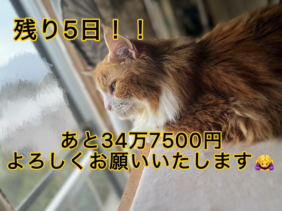 8回目の抗がん剤治療後の様子