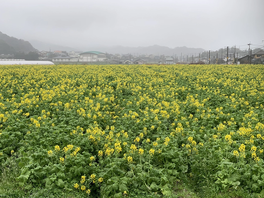 温かい応援コメントもありがとうございます😭