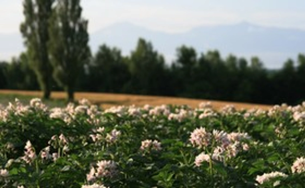 美瑛の農産物・加工食品詰め合わせ