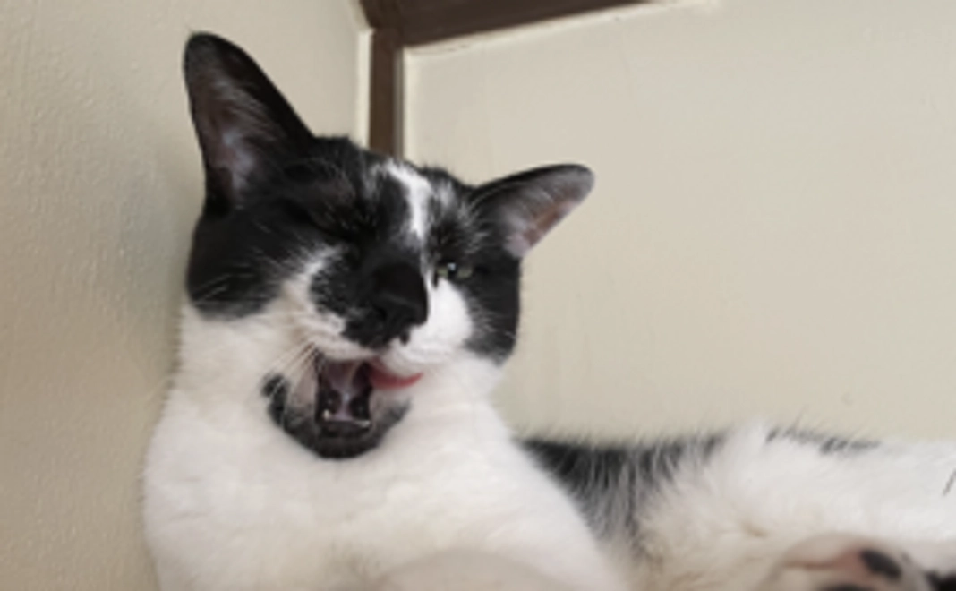 ②感謝のメール