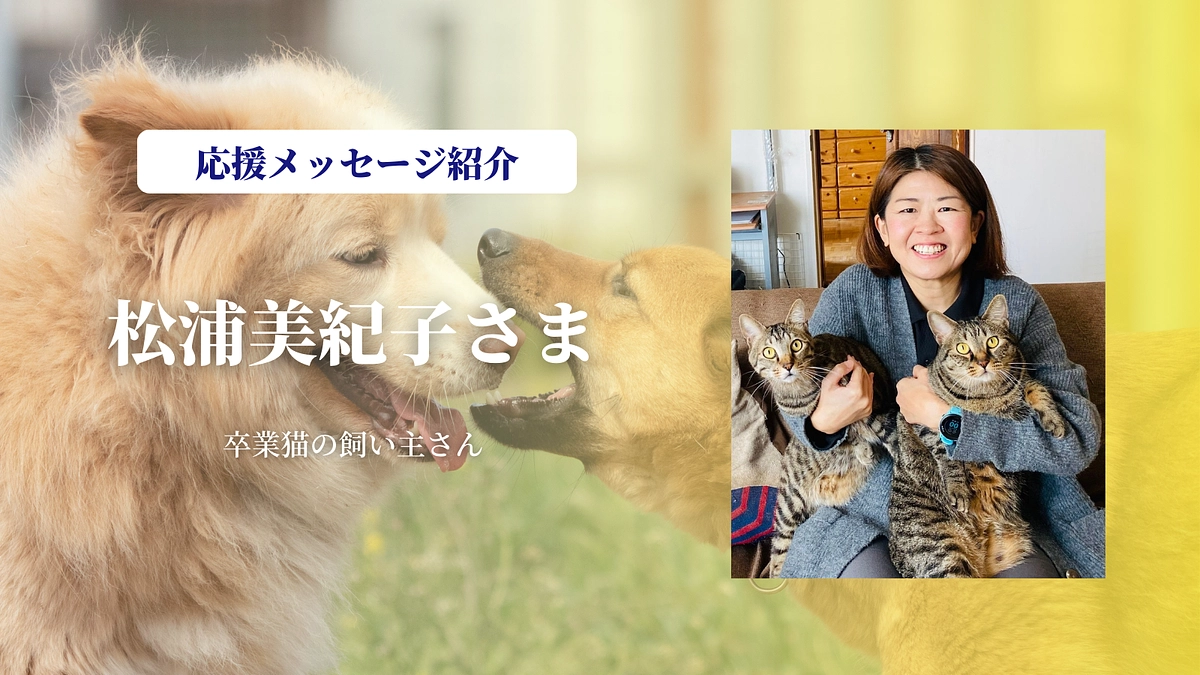 卒業猫の飼い主さんの松浦美紀子さまより、あたたかい応援メッセージをいただきました