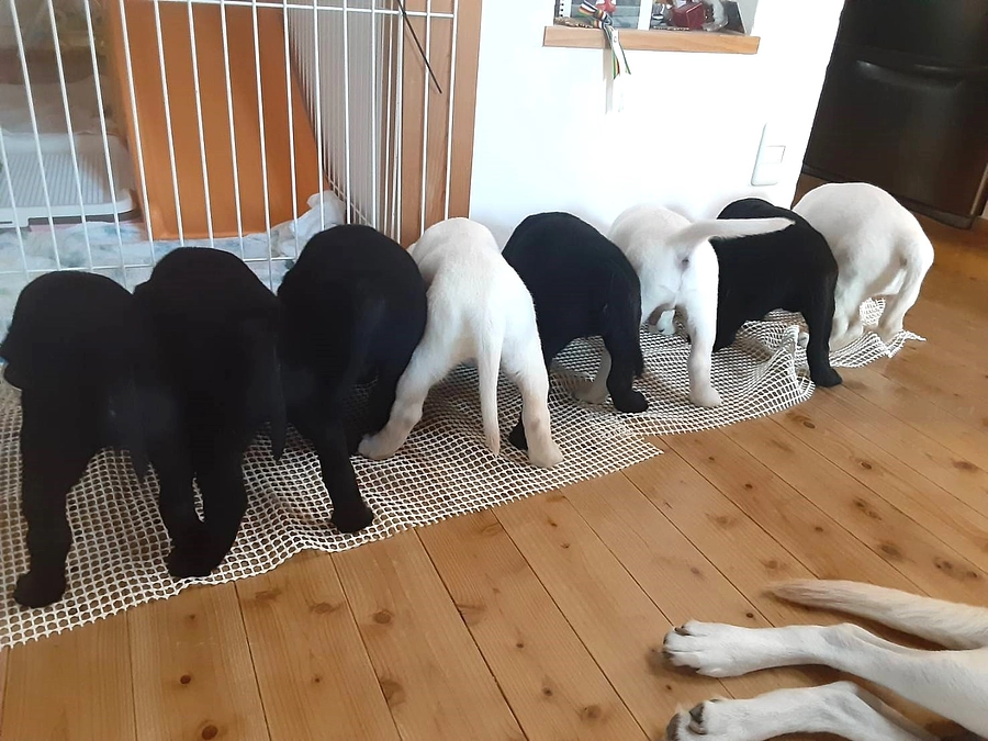 みんなそろってお昼ご飯（２０２３／１０／２３）