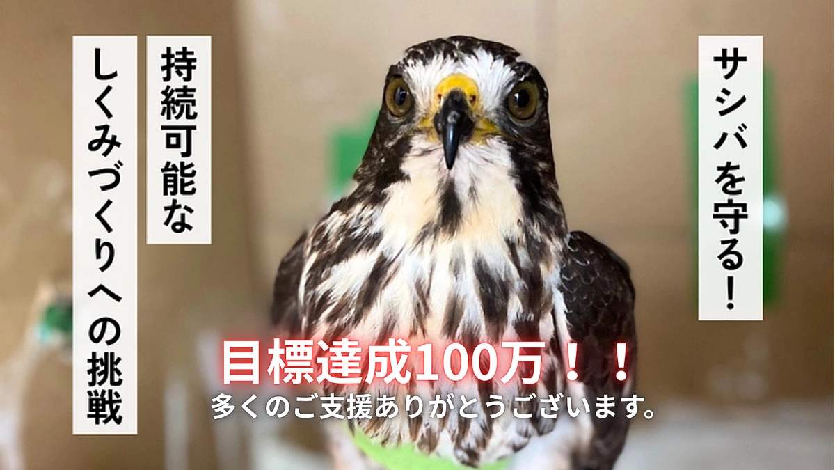 第一目標達成の御礼とネクストゴールへの挑戦】
