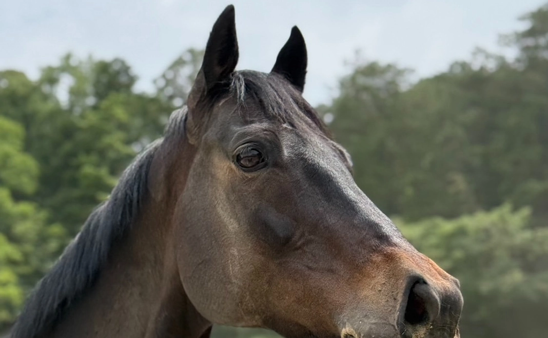 リトレースサポーター【10000円コース】