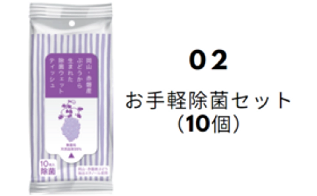 お手軽除菌セット（10個）