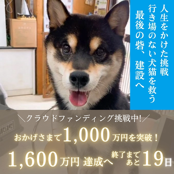 【1000万円突破！】あと19日！ネクストゴール達成に向けて！