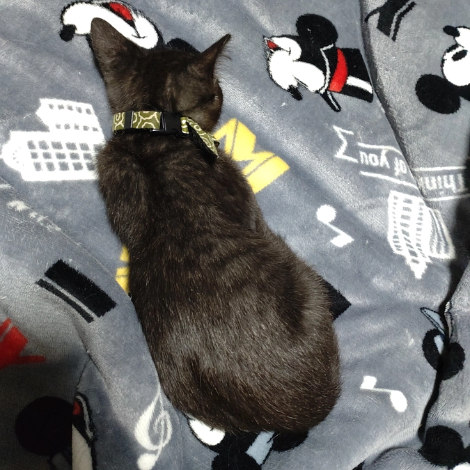 初めての　ワクチン接種💉