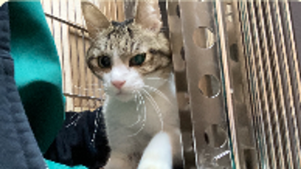 🏥12/26 面会して来ました💊