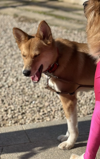 みかげお見合い失敗。。。