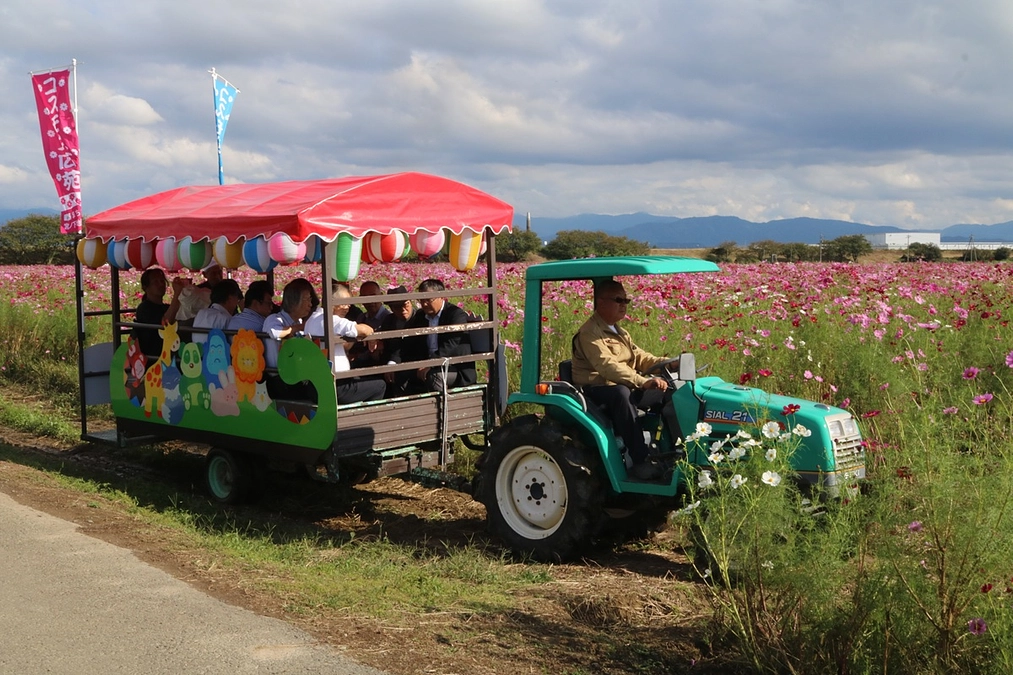 コスモス茶屋＆花トラ車