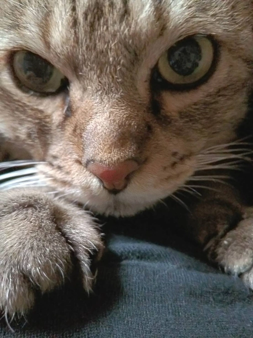 外注検査をしてきました