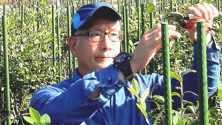 本当に美味しい完熟ブルーベリーを、あなたにお届けしたい!!