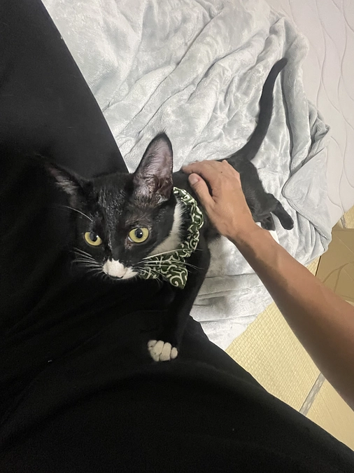 治療開始から2回目通院