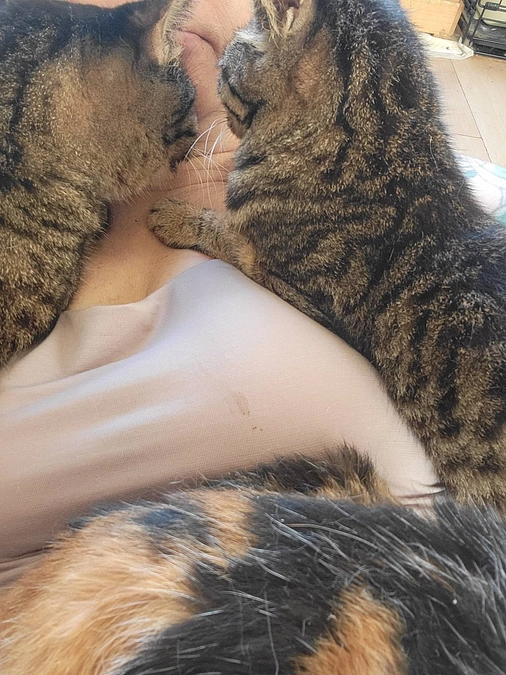 今いてる子達を守るためにもこれからの計画をし考えながら活動を続けていきます。