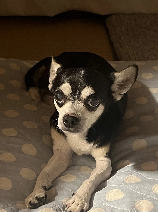 台風接近中🌪️