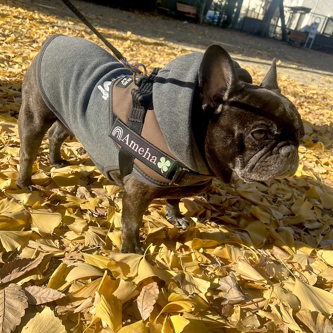 ありがとうございました❤️