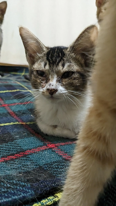 リターンが遅れています。大変申し訳ありません。