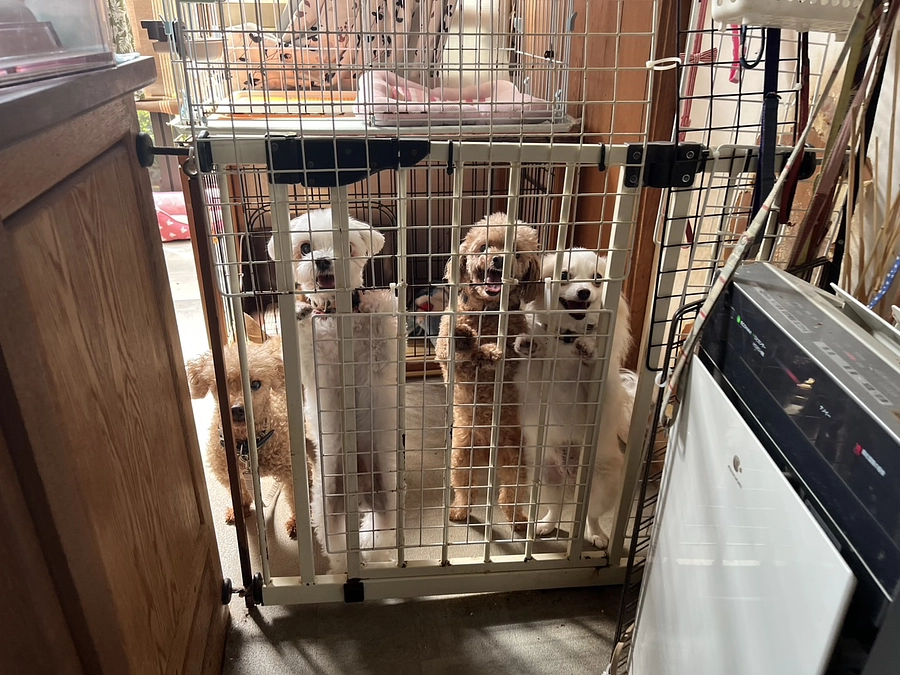 あと１日！　ネクストゴール挑戦中です！